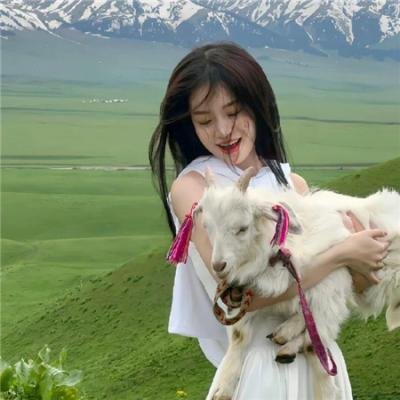 维诺 在线观看